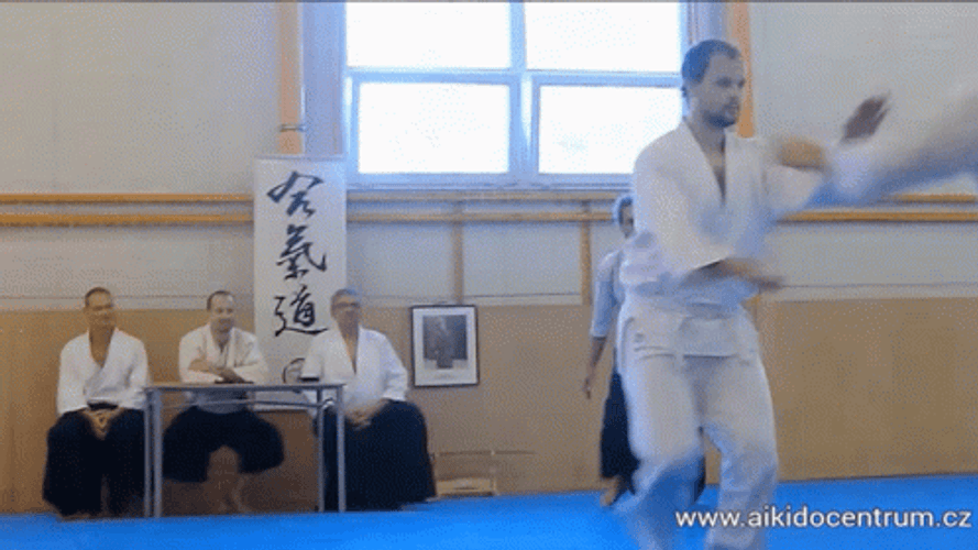 Kung Fu Practice Class GIF