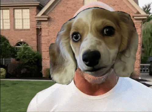 Kurt Angle Puppy Face Swap Meme GIF