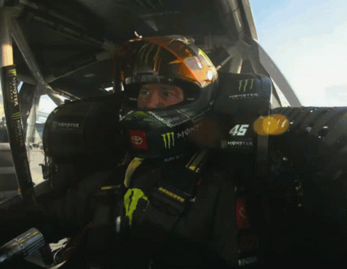 Kyle Busch 498 X 387 Gif GIF