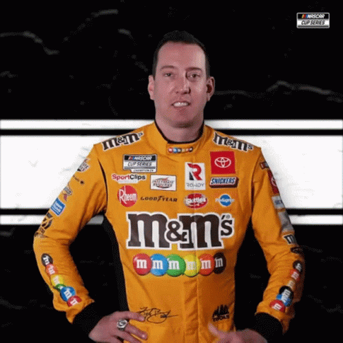Kyle Busch Facepalm GIF