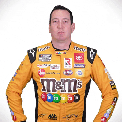 Kyle Busch Fist Pump GIF