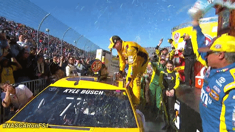 Kyle Busch Nascar Winning Momment GIF