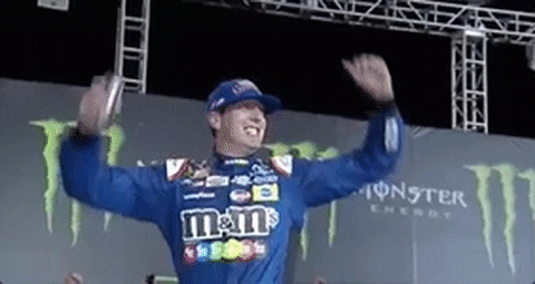 Kyle Busch Rejoicing GIF