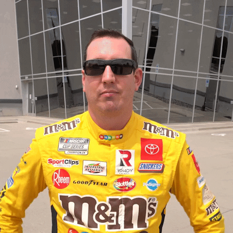Kyle Busch Shaking His Head GIF