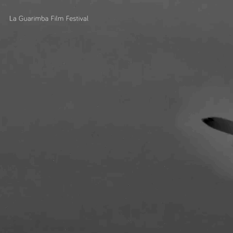 La Guarimba Film Festival Plane