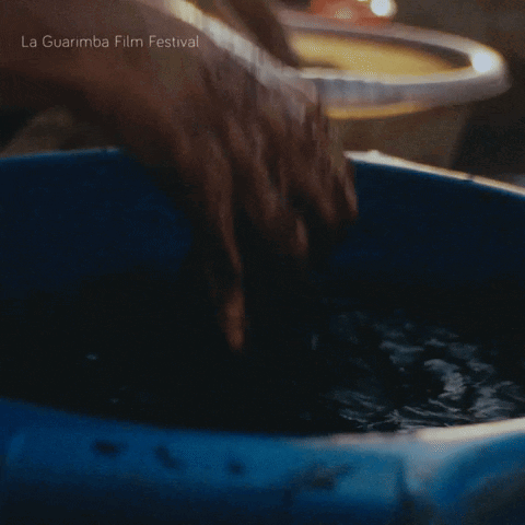 La Guarimba Film Festival