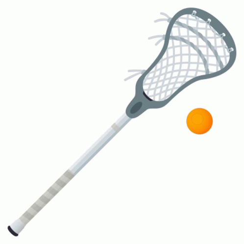 Lacrosse Activity Sticker GIF