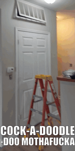 Ladder In Front Of Door With Cock-A-Doodle GIF