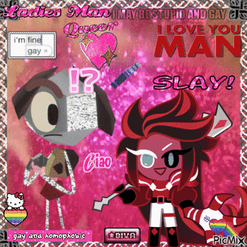 Ladies Man Stupid and Gay Love You Slay