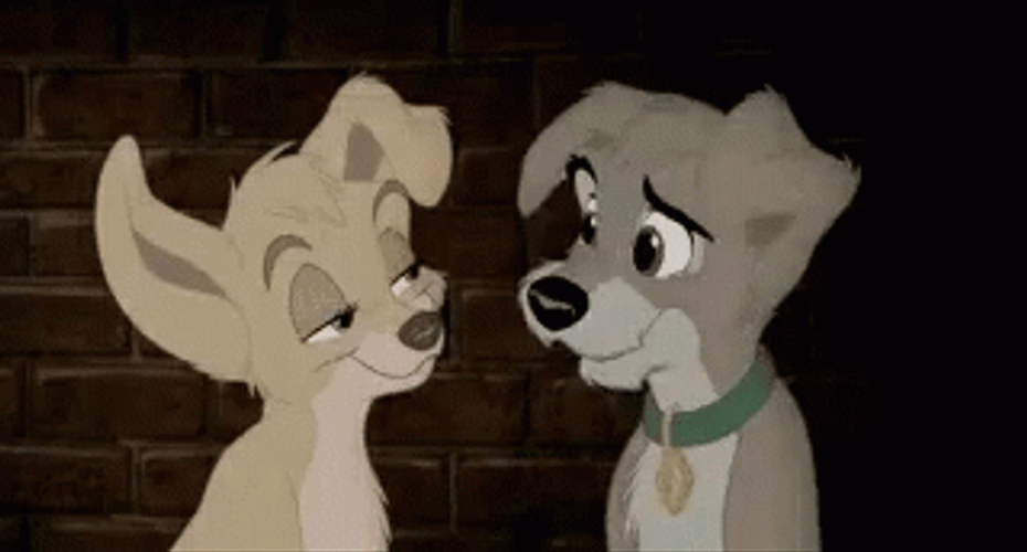 Lady And The Tramp 320 X 172 Gif GIF