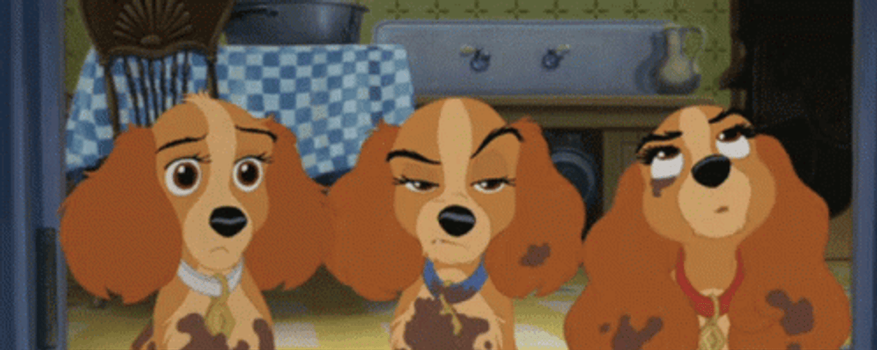 Lady And The Tramp 498 X 199 Gif GIF