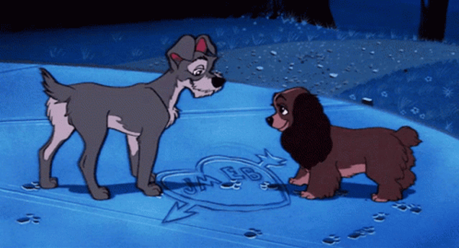 Lady And The Tramp 498 X 269 Gif GIF