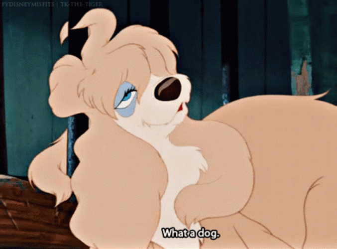 Lady And The Tramp 498 X 368 Gif GIF
