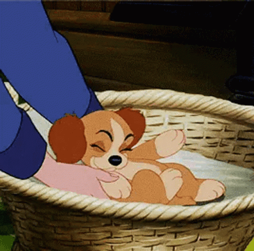 Lady And The Tramp 498 X 493 Gif GIF