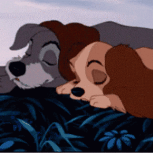 Lady And The Tramp 498 X 498 Gif GIF