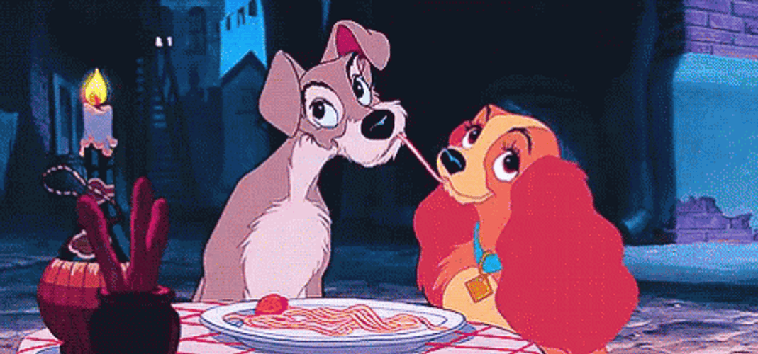 Lady And The Tramp GIF