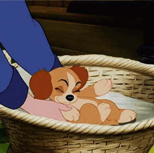 Lady And The Tramp Blanket Scene GIF