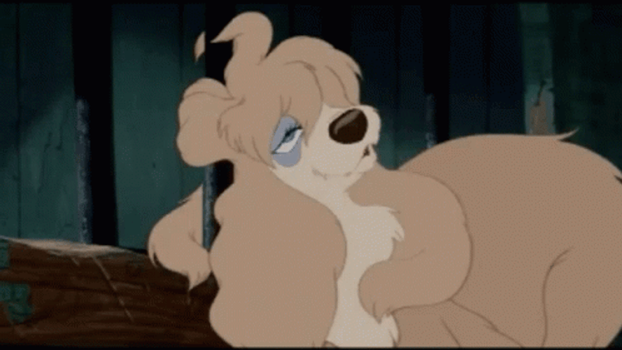 Lady And The Tramp GIF