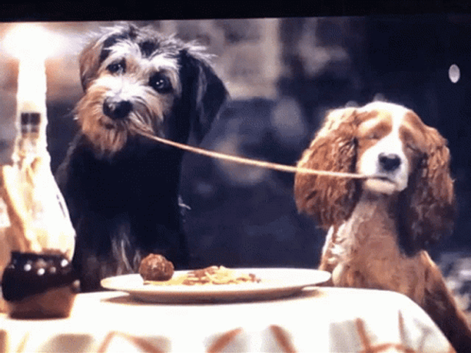 Lady And The Tramp Live Noodle Scene GIF