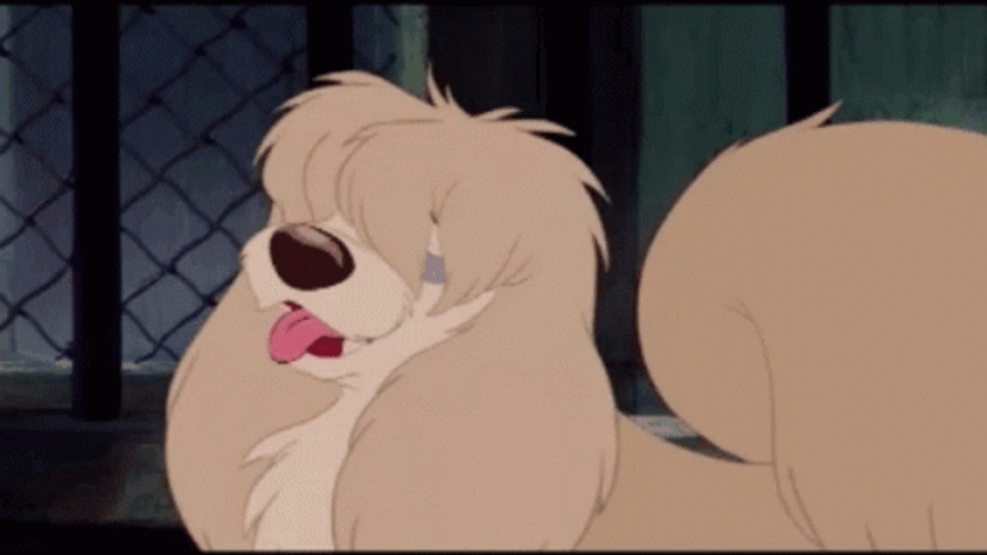 Lady And The Tramp Peg Bangs GIF