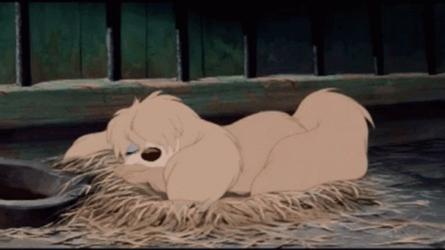 Lady And The Tramp Peg Sleeping GIF