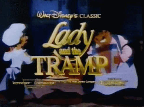 Lady And The Tramp Serenaded GIF