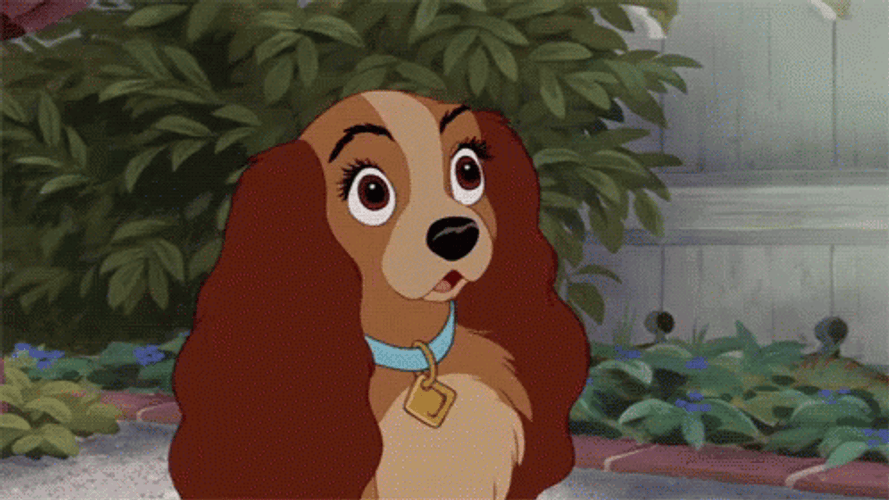 Lady And The Tramp Shocked GIF