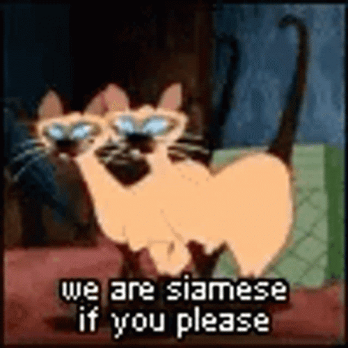 Lady And The Tramp Siamese Cats GIF