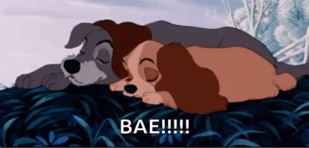 Lady And The Tramp Sleeps Together GIF