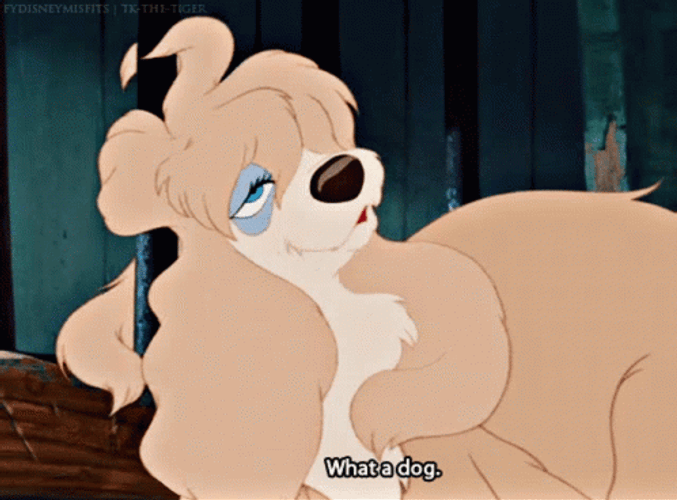 Lady And The Tramp What A Dog GIF
