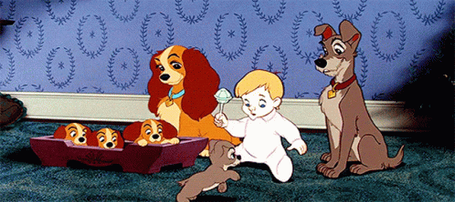Lady And The Tramp With Babies GIF