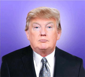 Lady Donald Trump Face Meme GIF