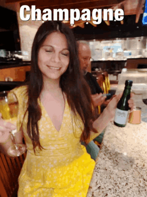 Lady Holding Bottle And Champagne GIF