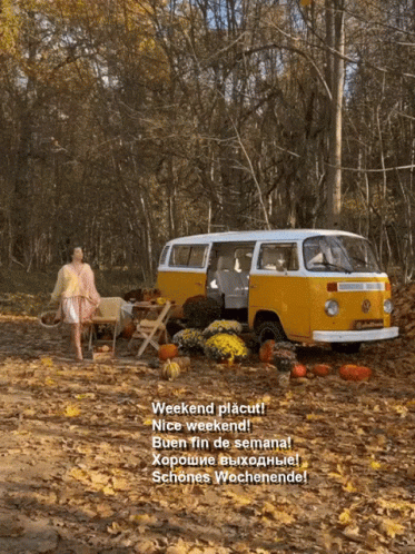 Lady In The Woods With Her Van GIF