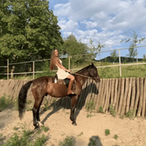 Lady Made Horse Neigh GIF