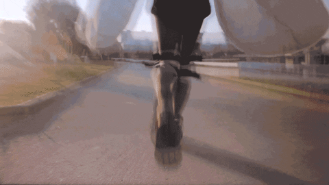 Lady Moth Flying Around GIF