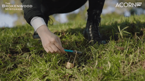 Lady Police Investigates The Brokenwood GIF