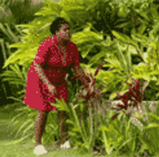 Lady Scared And Trying To Hide GIF