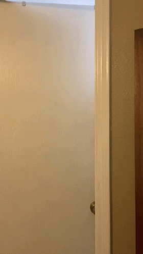 Lady Slowly Sneaking Behind Door GIF
