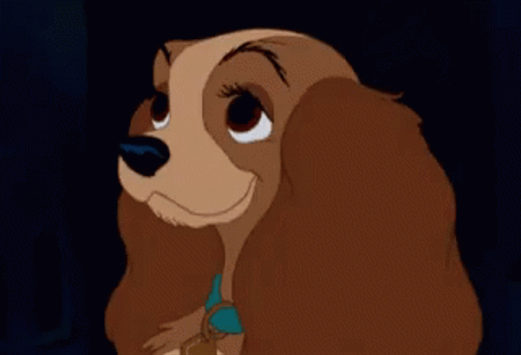 Lady Sparkling Eyes And The Tramp GIF