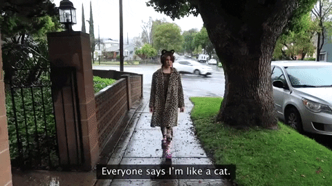 Lady Wearing Cat Themed Headband And Cardigan GIF