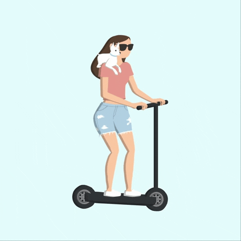 Lady With Dog Strolling In Scooter GIF