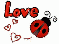 Shimmering Ladybug Love Mobile Art GIF