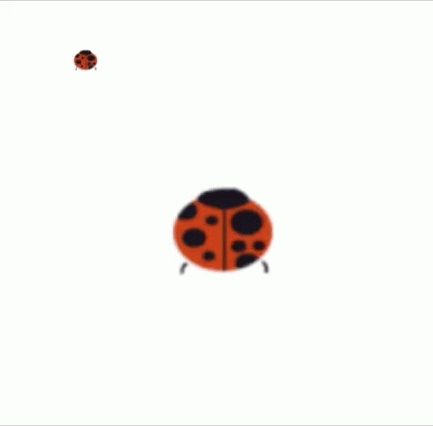 Bouncing Colorful Ladybug Cartoon GIF