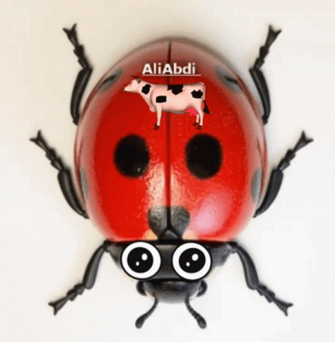 Ladybug Wobbly Eyes On Wings GIF