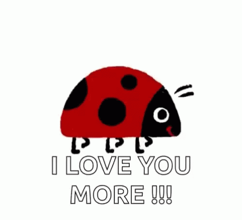Ladybug Crawling Love You More Moving Graphics GIF