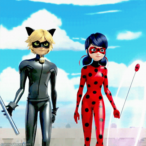 Ladybug And Cat Noir From Miraculous Ladybug GIF