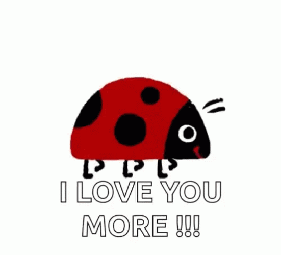 Ladybug Crawling Love You More Moving Graphics GIF