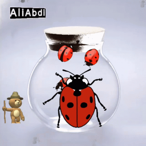 Ladybug In Glass Jar With Aliabdi GIF
