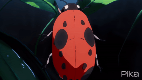 Ladybug on Green Leaf Saying Pika
